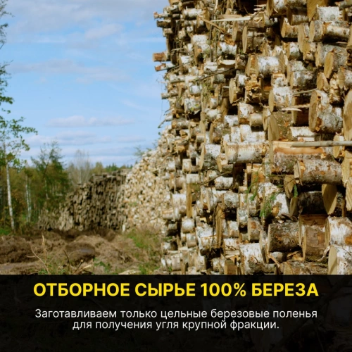 картинка Уголь березовый Отборный 3 кг от магазина Пиломатериал Воткинск